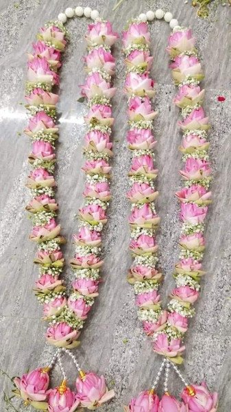 Vendor Image